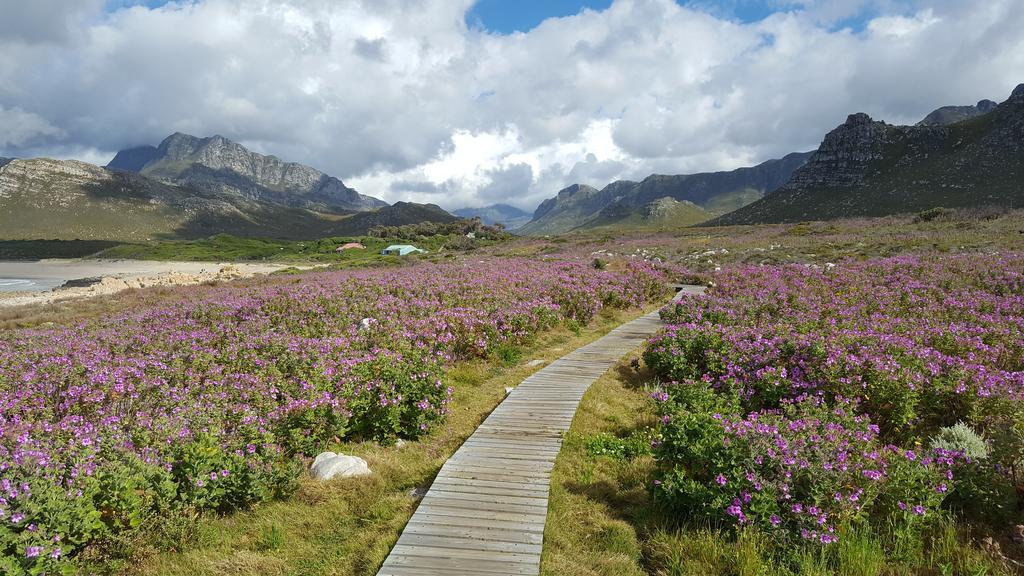 La Mer Seafront Selfcatering Accommodation Kleinmond Extérieur photo