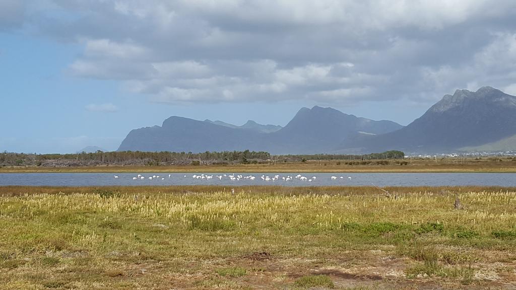 La Mer Seafront Selfcatering Accommodation Kleinmond Extérieur photo